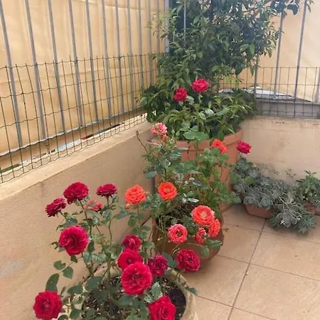 Appartamento Trilocale Olbia